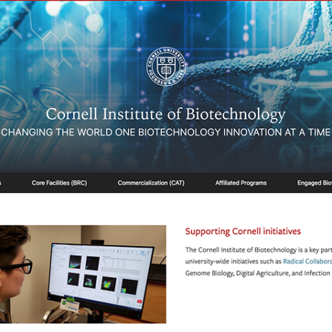 Cornell Institute of Biotechnology homepage