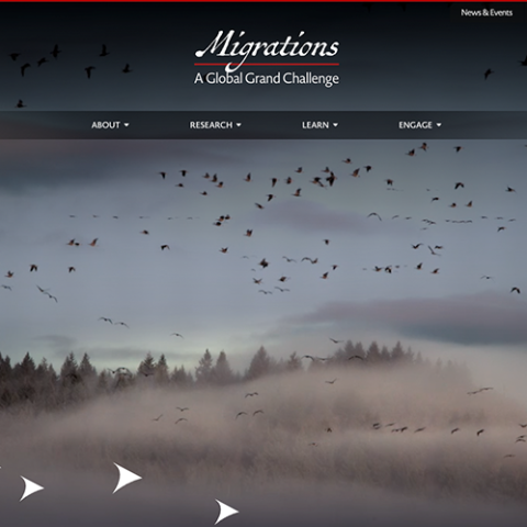 migrations homepage