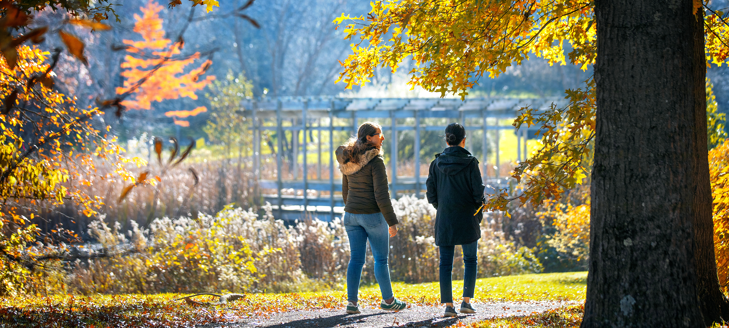 2 people walking on a trail in fall