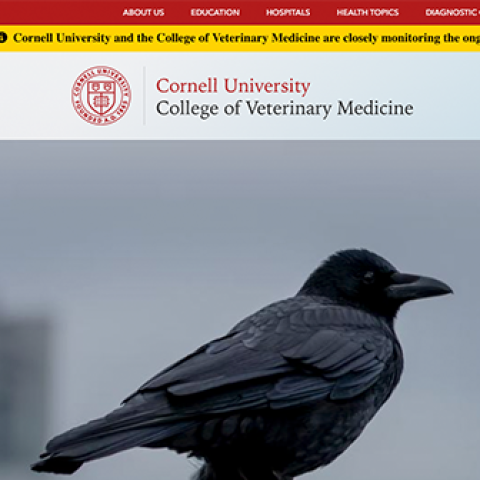 Cornell University College of Veterinary Medicine homepage