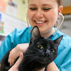 A smiling veterinary student holds a stethoscope to her patient, a small black cat