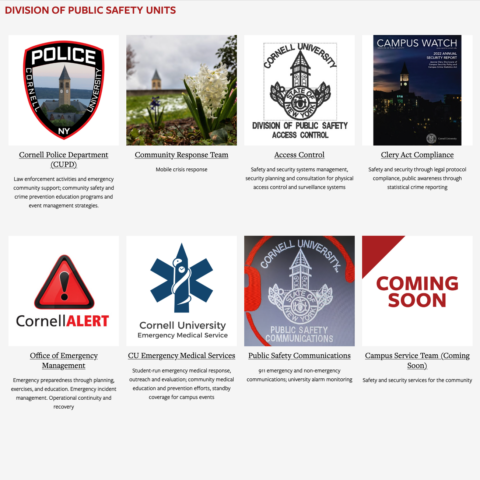 snapshot of division of public safety website