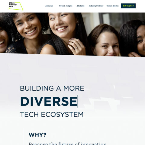 Homepage snapshot that has group of students smiling
