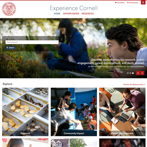 Homepage of experience site with image of student in the grass