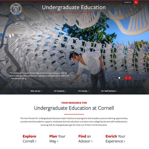 Homepage view of VPUE with alumni next to art installation