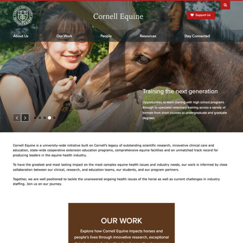 Person feeding and petting a horses nose through a fence.