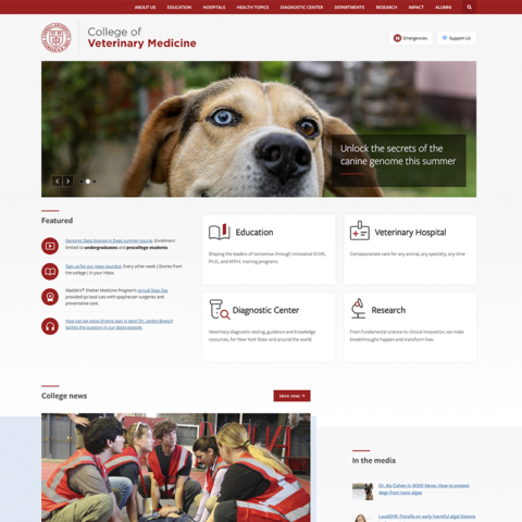 Snapshot of the CVM homepage with picture of dog